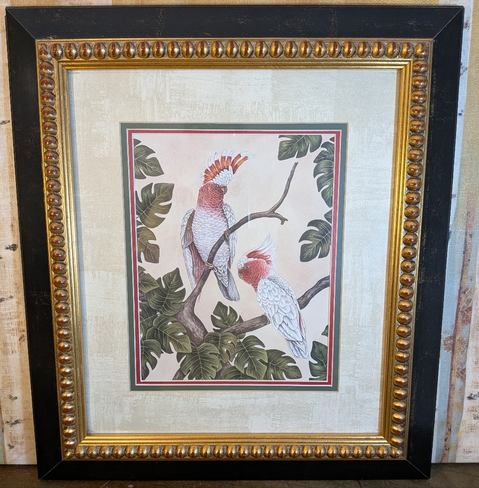 Framed Cockatiel Parrot Art